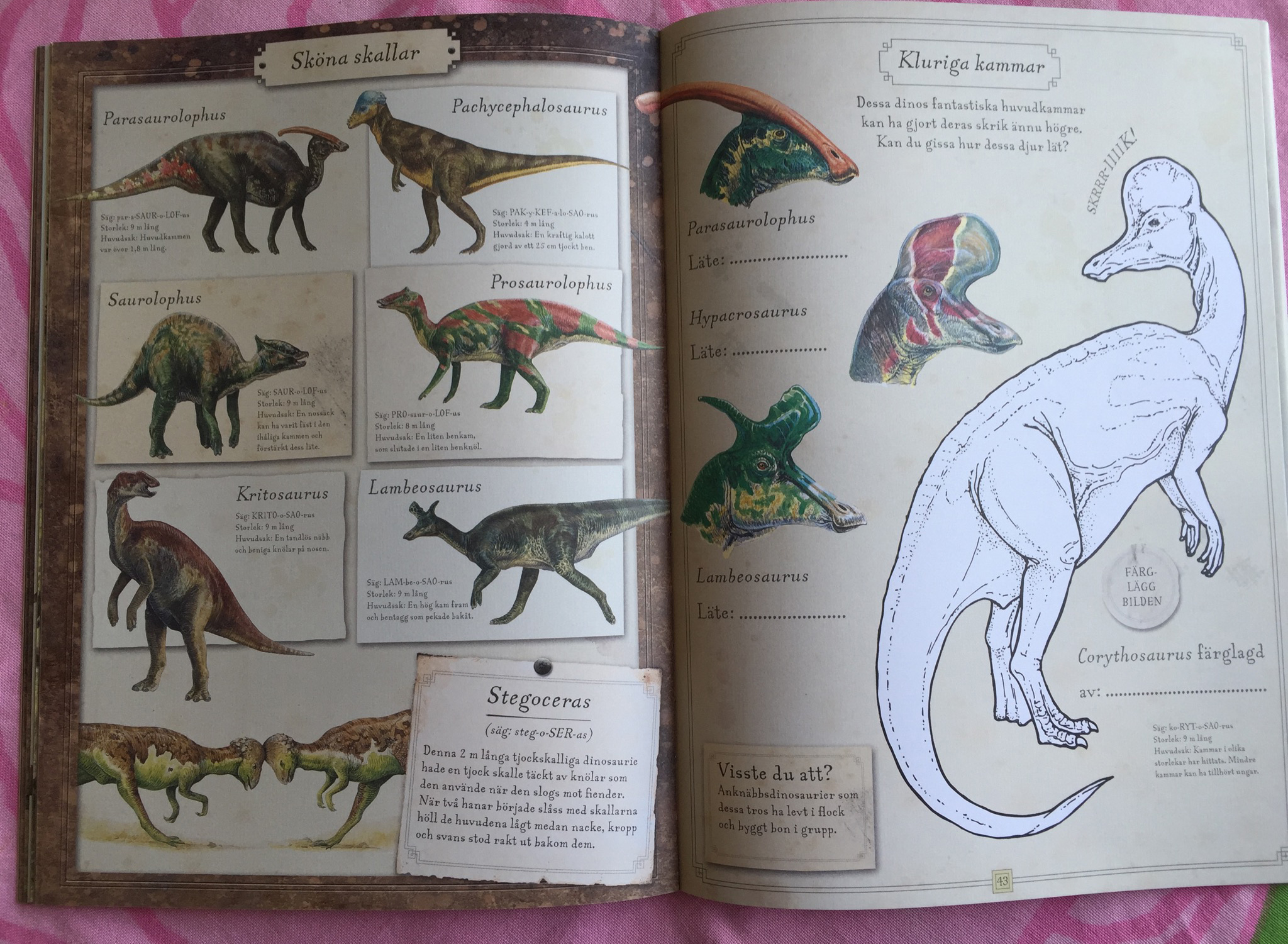 fantastiska_fakta_dino